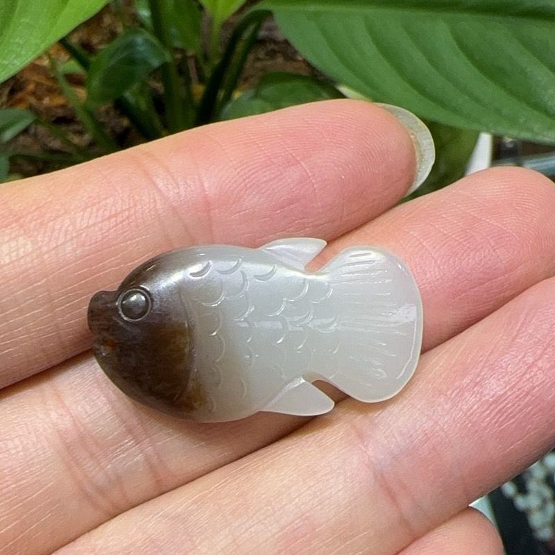 且末料鱼和田玉鱼羊脂白玉鱼寓意年年有余5.24克