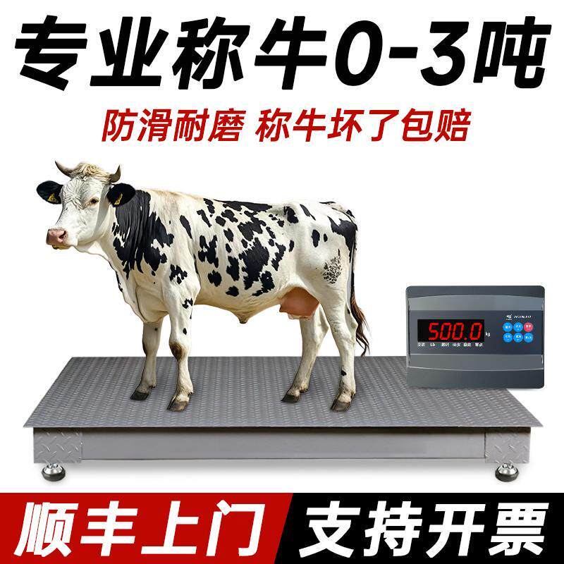 上海耀华加厚畜牧地磅电子秤称牛称猪3吨防遥控防抖高精度地磅秤