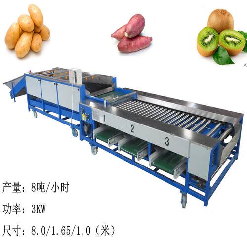 土豆马铃薯清洗分级果蔬水洗分选机水果选果机
