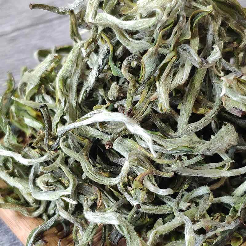 明前早春茶甘肃兰州临夏春尖茶清