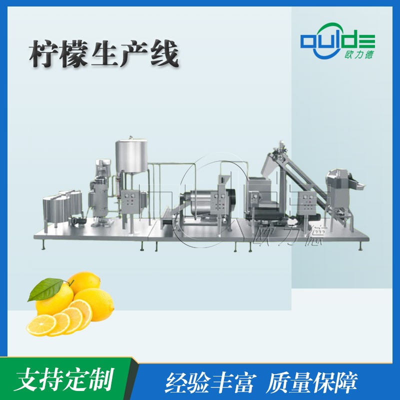 厂家出售大型柠檬生产线果汁饮料流水线橙子柑橘全套全自动设备