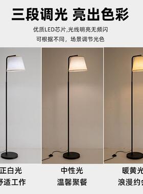 LED落地灯北欧灯具现代简约客厅卧室立式落地台灯氛围法式风床头