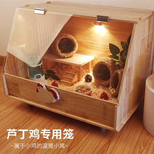 芦丁鸡饲养箱造景大号育雏箱用品别墅全套观赏专用笼房子带灯保温