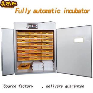跨境货源全自动小鸡孵化器家用孵化率incubator小型智能孵蛋器