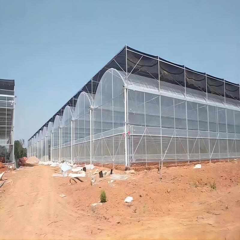 草莓棚葡萄棚育苗棚 农业大棚 连栋温室 大棚骨架 日光温室大棚，