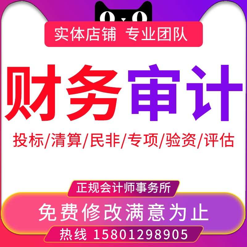 公司企业投标年度财务报表离任清算报告高新课题民非会计审计咨询
