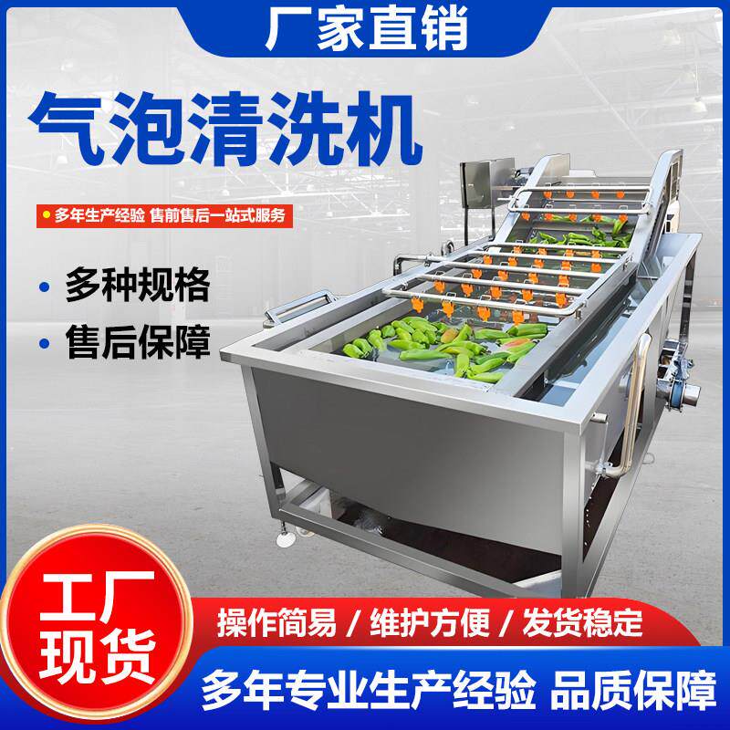 全自动气泡清洗机大型水果蔬菜多功能清洗机云南小黄姜辣椒清洗机