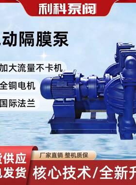 电动隔膜泵厂家直供DBY系列铸铁杂质输送泵污水泵耐腐蚀电动泵