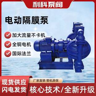 电动隔膜泵厂家直供DBY系列铸铁杂质输送泵污水泵耐腐蚀电动泵