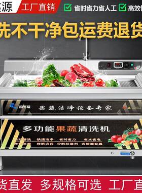 商用洗菜机商用全自动水果蔬菜肉气泡臭氧清洗机涡流净菜加工设备