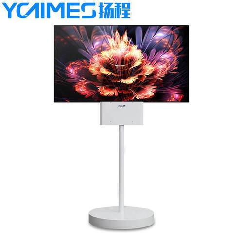 厂家55寸OLED超薄双面屏展览橱窗博物馆商场挂式双面屏立式广告机