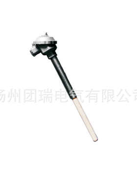 S型热电偶 铂铑热电偶 WRP-130型 度刚玉热电偶