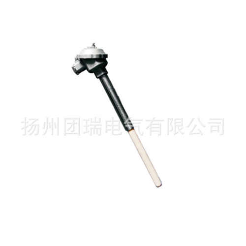 S型热电偶 铂铑热电偶 WRP-130型 度刚玉热电偶