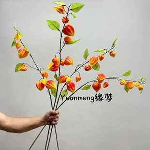 彷真灯笼果野果浆果红红火火橘色系列树叶素材假花花瓶装饰样板房