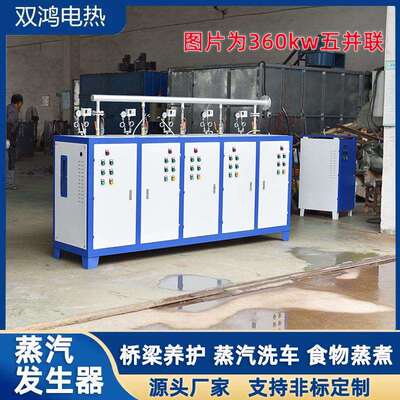 全自动电热蒸汽锅炉现货桥梁养护混凝土干洗熨烫工业蒸汽发生器
