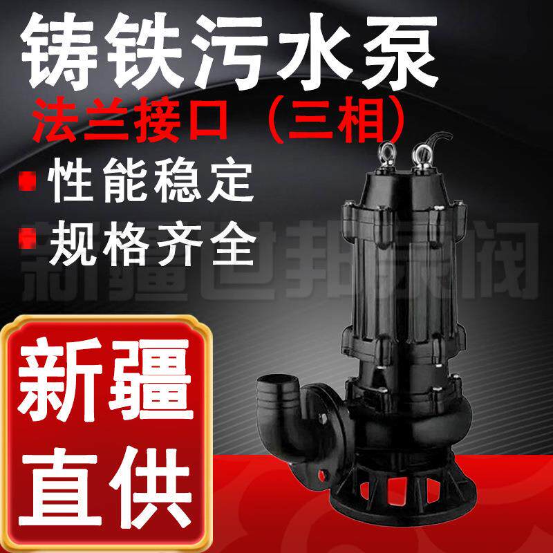 法兰接口铸铁污水泵三相污水泵抽粪养殖场农用池塘潜水泥浆泵380v