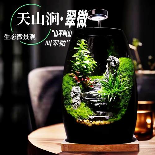 苔藓微景观生态缸造景植物桌面摆件养鱼生态瓶小型森林全套雨林缸