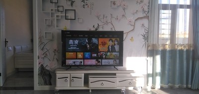 实力对比TCL 55V6M和55V6哪个好？配置画质区别大不大呢？