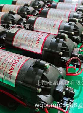 上海旺泉12VDC/24VDC/220VAC-DP-60微型隔膜泵、丁腈橡胶隔膜泵