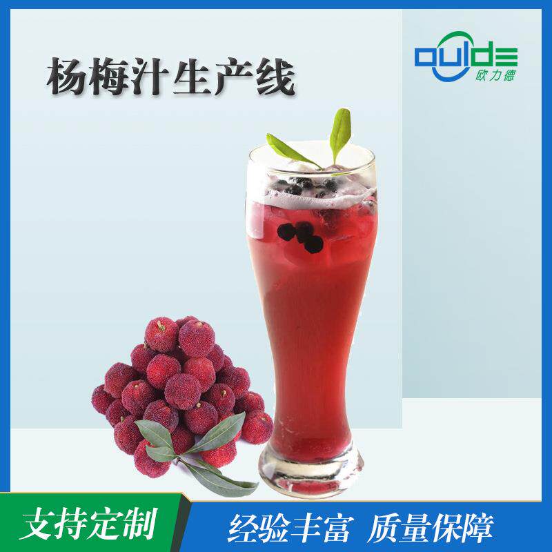 大小型果汁果酱饮料全自动生 产线厂杨梅汁生产设备