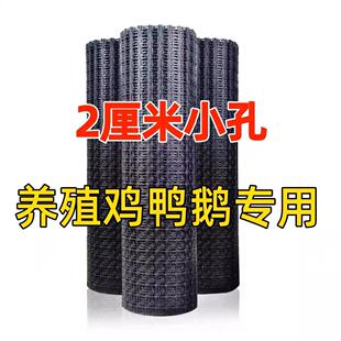 塑料围栏网养殖鸡鸭防护网格果园拦网隔离围网栅栏小孔2厘米网孔