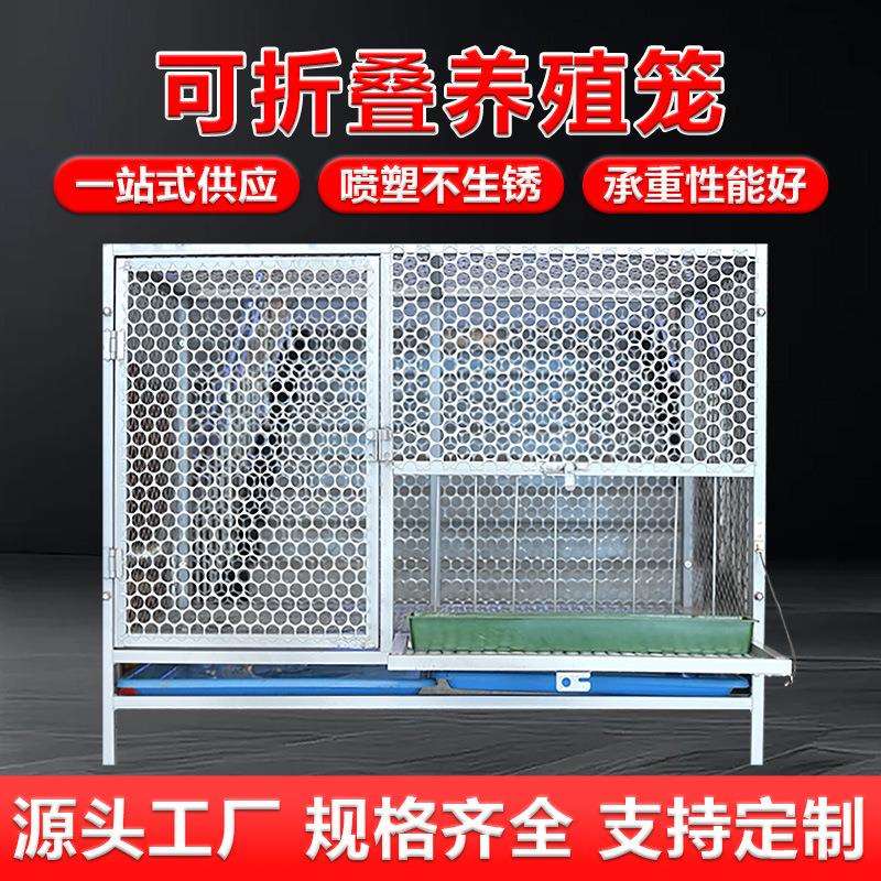 鸽子笼鸡笼家用兔笼养殖笼农村家禽鸡鸭鹅大号折叠加密镀锌板鸡舍