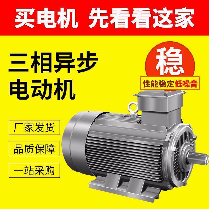 山东电机YE3-355L2-8极三相异步立式电动机200W卧式小型马达