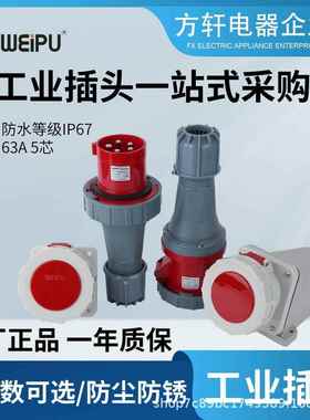 WEIPU威浦插头座TYP675392459246924575292463A3P+N+EIP67