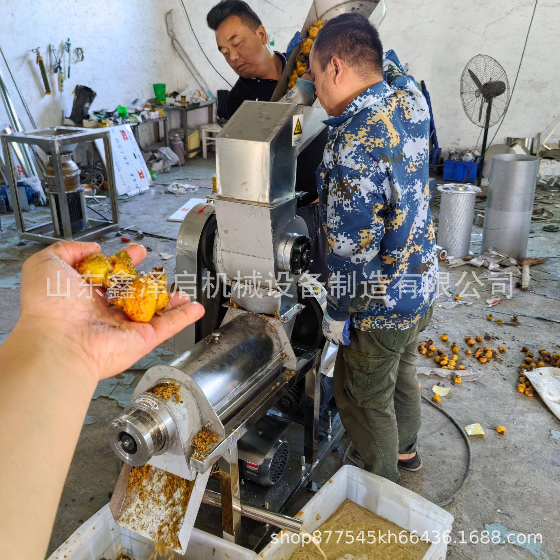 大型刺梨榨汁机桃子杏子去核打浆机商用生姜汁挤压榨汁设备