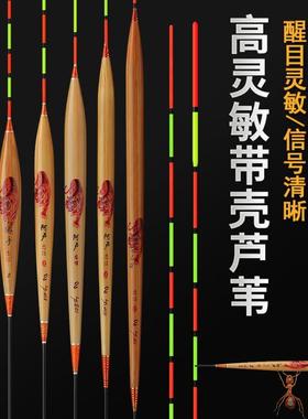 新款阿卢同款漂A62A3135鲫鱼鲤鱼混养行程浮标顿口浮包邮竞技黑坑