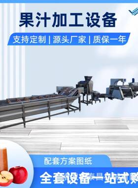 无花果汁饮料生产线生榨沙棘汁加工设备调配型梨汁榨汁机生产线