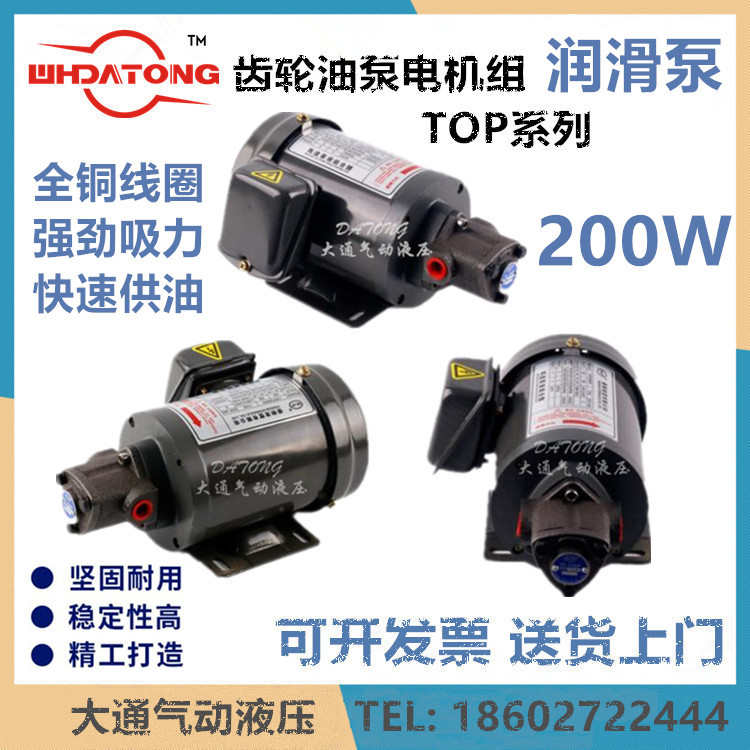 油泵-rop马达 宝华-润滑12a 机组/ /top 机床ma11a电200w齿轮13a