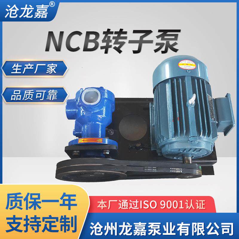 NCB高粘度转子泵凸轮转子泵泵头正反转高粘度转子泵厂家供应