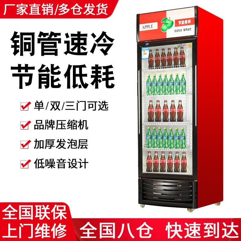 饮料柜商用立式冰柜冰箱门超市饭店啤酒柜双门保鲜柜冷藏展示柜
