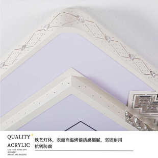 适用家用客厅大灯吸顶灯饰大厅主卧室吊灯具现代简约大气2025