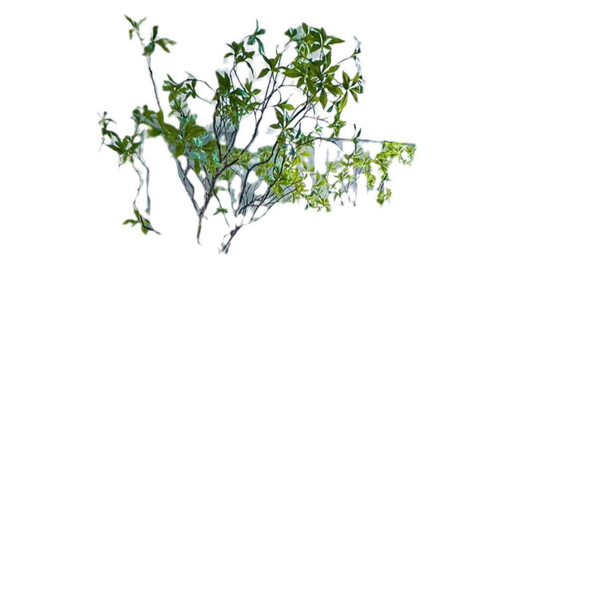 高端马醉木绿植造景橱窗植物室内仿真榕树装饰树大型假树简约景观,鲜花速递/花卉仿真/绿植园艺,仿真绿植,淘宝优惠券,粉丝福利购,淘宝优惠卷