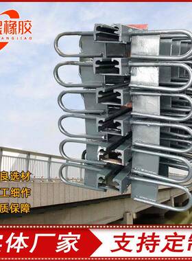 GQF-C/E/F/Z/RG型伸缩缝变形缝公路桥梁伸缩缝D40/60型桥梁伸缩缝