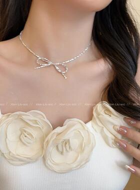 碎银子蝴蝶结项链女choker小众高级感项圈锁骨链2024新款爆款颈链