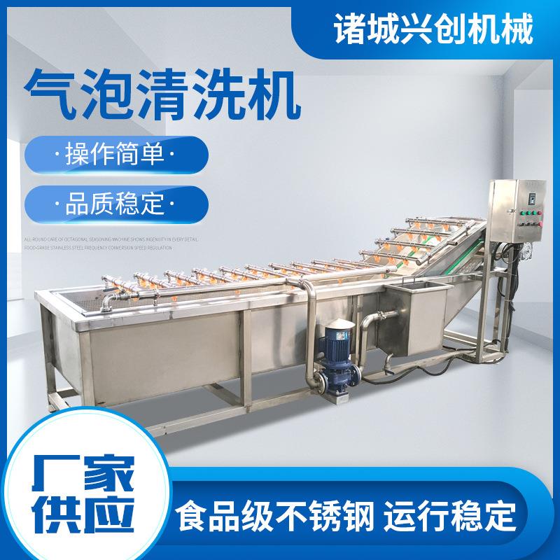 水果大叶蔬菜气泡清洗机高压喷淋苹果草莓洗果机辣椒全自动洗菜机