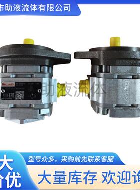 Rexroth内啮合高压齿轮泵R900086163型号PGF1-21/4.1RE01VU2