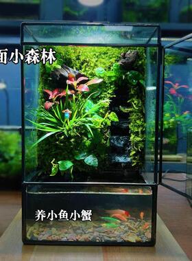 创意造景雨林缸生态流水养鱼微景观桌面摆件鱼缸小型家用