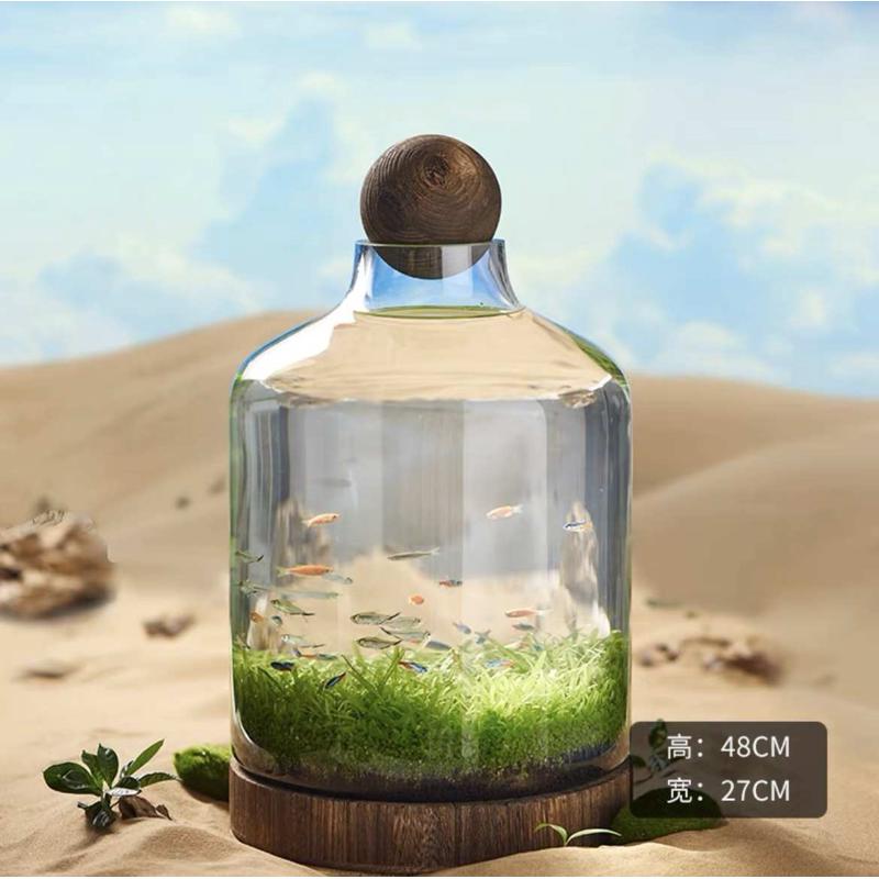 鱼虾瓶厂玻璃生态水草迷你办公室自直销植物鱼缸鱼花瓶微循环景观