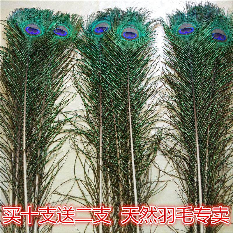 家居饰品摆饰孔雀羽毛纯天然真孔雀毛花瓶装饰品孔雀翎尾婚庆羽毛