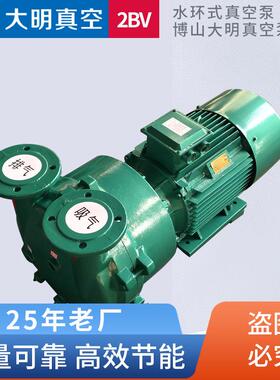厂供2BV5110/2BV5111/5121/2BV5131/51612BV系列耐腐蚀水环真空泵