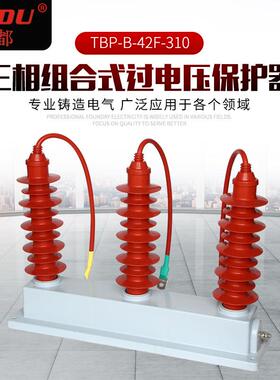 TBP组合式过压保护器三相组合式过电压保护器TBP-B-42F-310