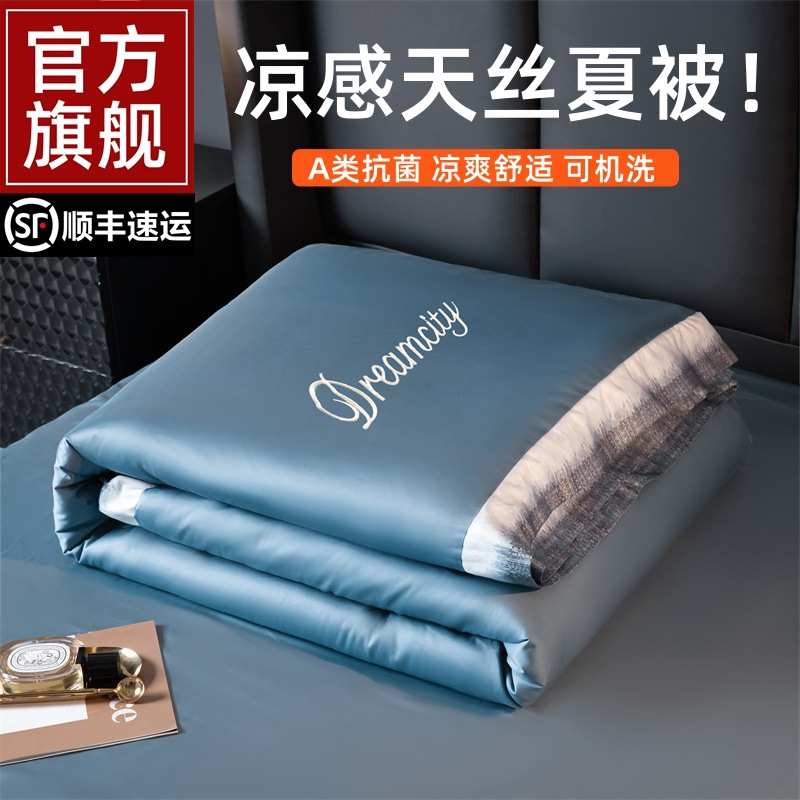 感2025款丝夏四夏季人被新款凉可空调洗件套冰薄机夏凉被子被单被