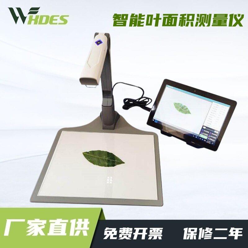 杭州绿博仪器厂家供应智能叶面积测量系统叶片形态测量仪YMJ-CH