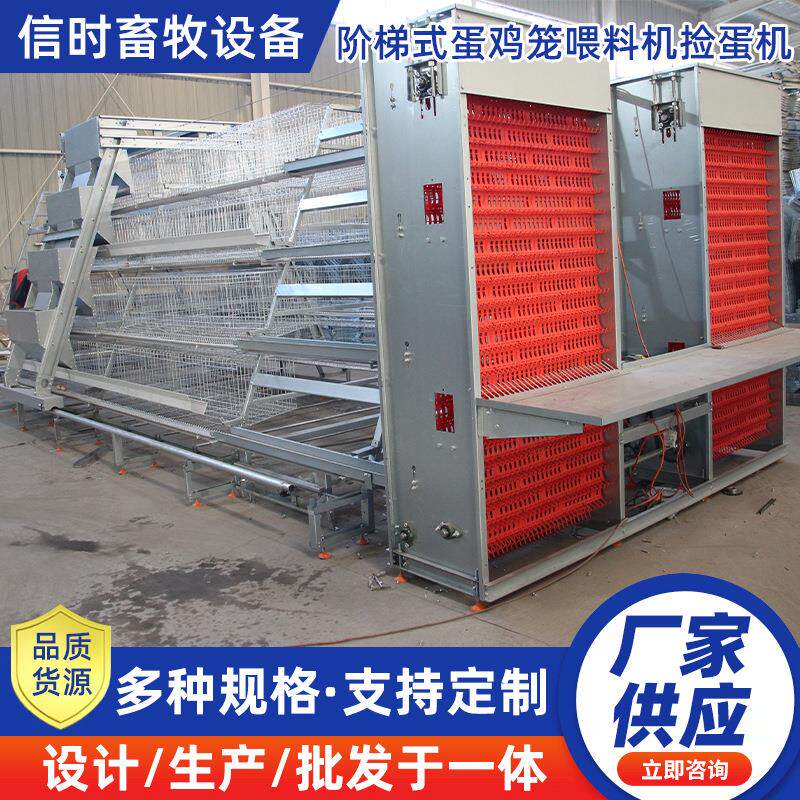 A型阶梯蛋鸡笼背负式自动喂料机鸡舍养殖全套养鸡设备自动捡蛋机