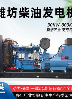 500千瓦潍坊柴油发电机组100kw200kw 300kw工厂养殖场备用发电站