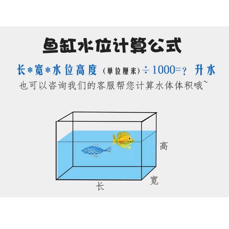 金滴水族观赏鱼白净粉白点立鳞烂肉烂鳃烂尾金滴淡海水通用